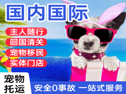 大长山机场物流国际宠物托运 【国